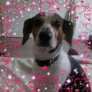 Meet your Posher, Tammy